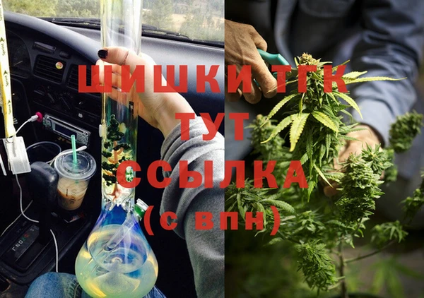 PSILOCYBIN Бугульма